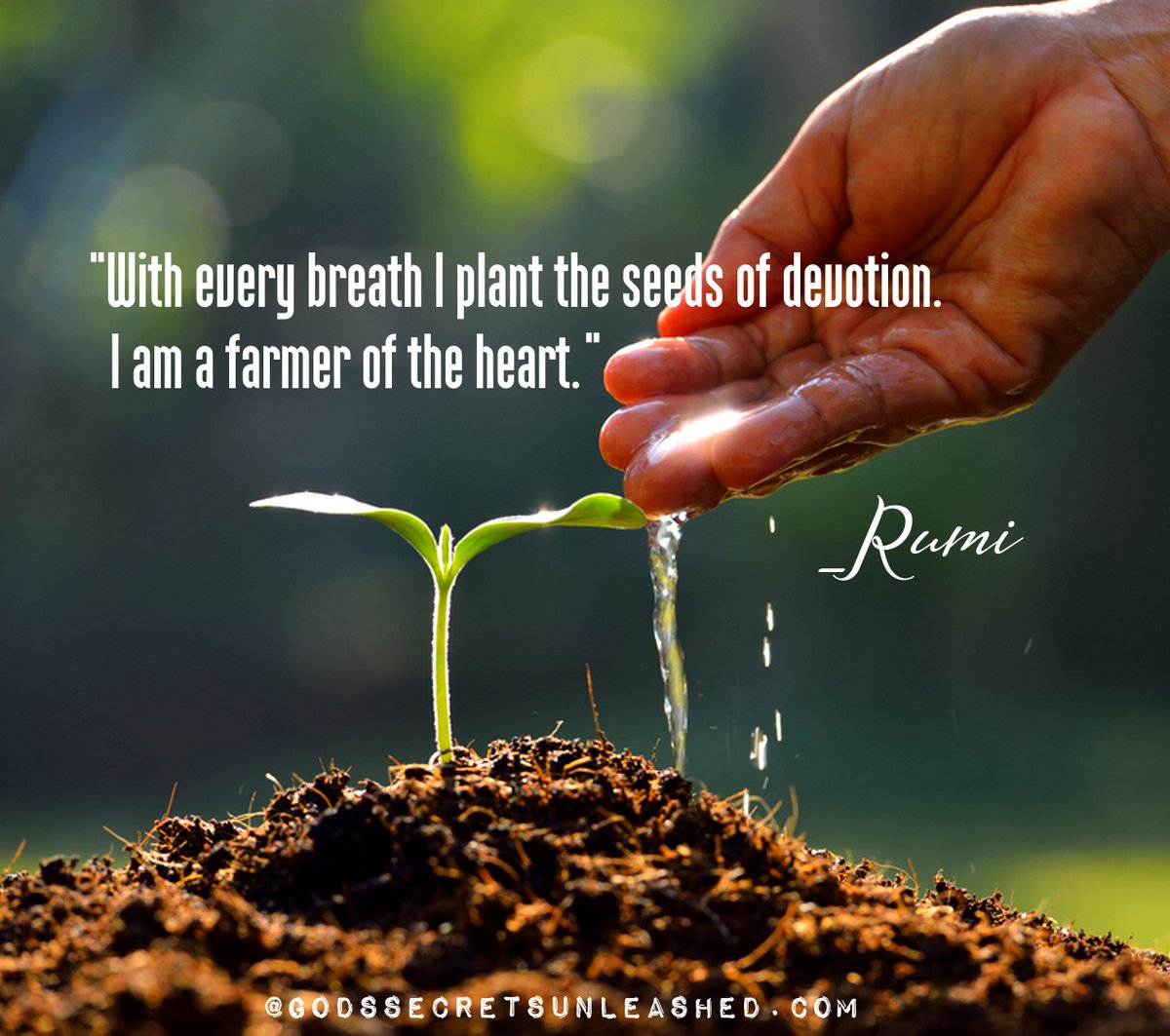 sbraegger11's tweet photo. "With every breath I plant the seeds of devotion. I am a farmer of the heart." _Rumi #devotion #love #heart #true #self #soul #divine #universal #energy #growth #purpose #experience #wsidom #guidance #empowerment #peace #mindfulness https://t.co/geBb9uxtBc