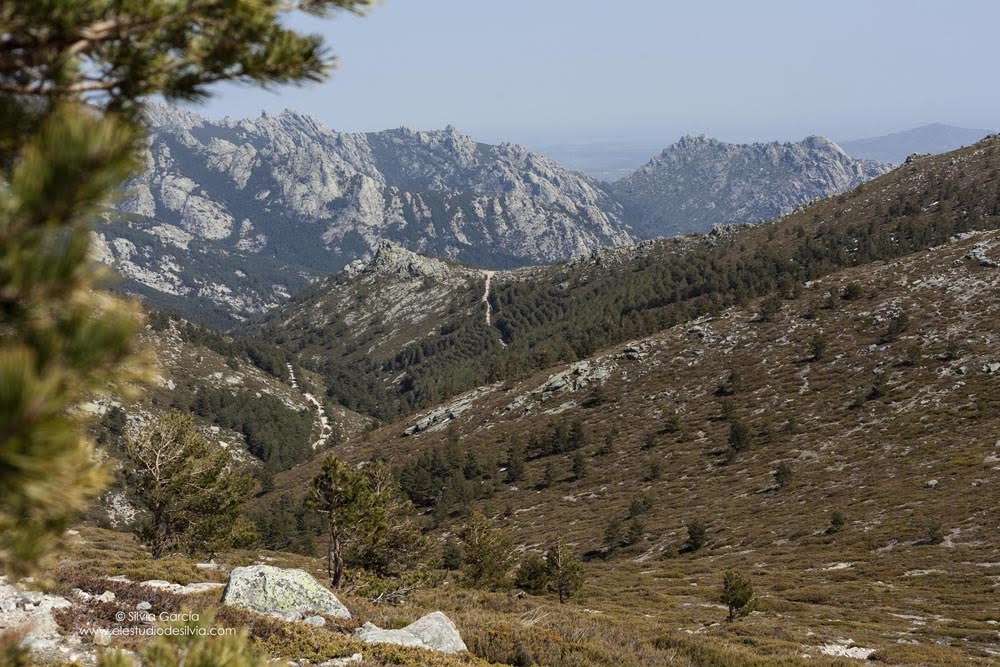 SilviaGFuertes's tweet photo. #sierradeguadarrama #MiMali https://t.co/lZt94QbhIC