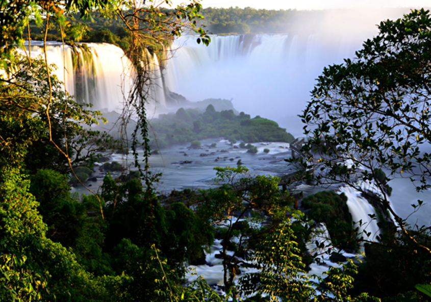 Biofaces tweet media