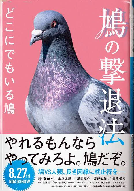 鳩ブームが来ている、、?? 