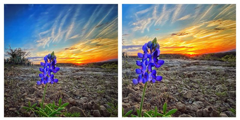 knox keith tweet media