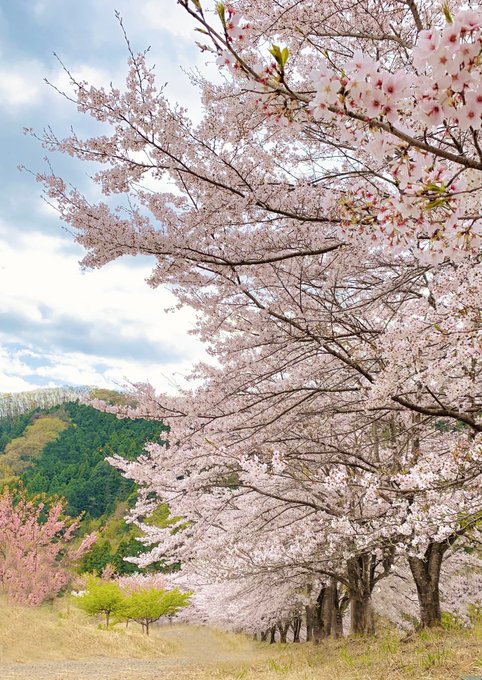 Twitterのコスプレ画像31