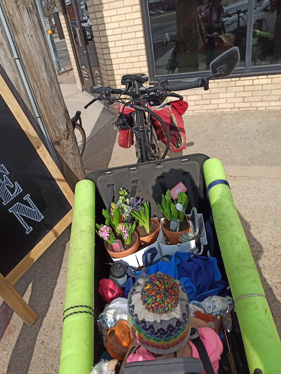 carlitecarfangs's tweet image. #30DaysOfBiking Day 2: Daycare plus more errands than usual. 
-UPS
-Easter festivities from @whiskeycakeokc, @katiebugsokc, and @CurbsideOKC Flowers
-@LivelyBeerworks for friends, 6-Packs and treats from Bui&apos;s Breads, a favorite local baker.

#BikeLocalShopLocal
#CargoBikeFamily