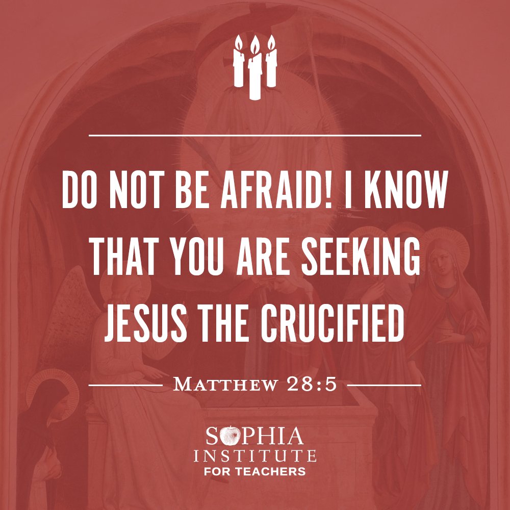 SophiaTeachers's tweet image. #HolySaturday is here! We&apos;ve got resources to help you prepare for your Easter Vigil: bit.ly/2Px9sOG

#holyweekathome #holyweek #holyweek2021