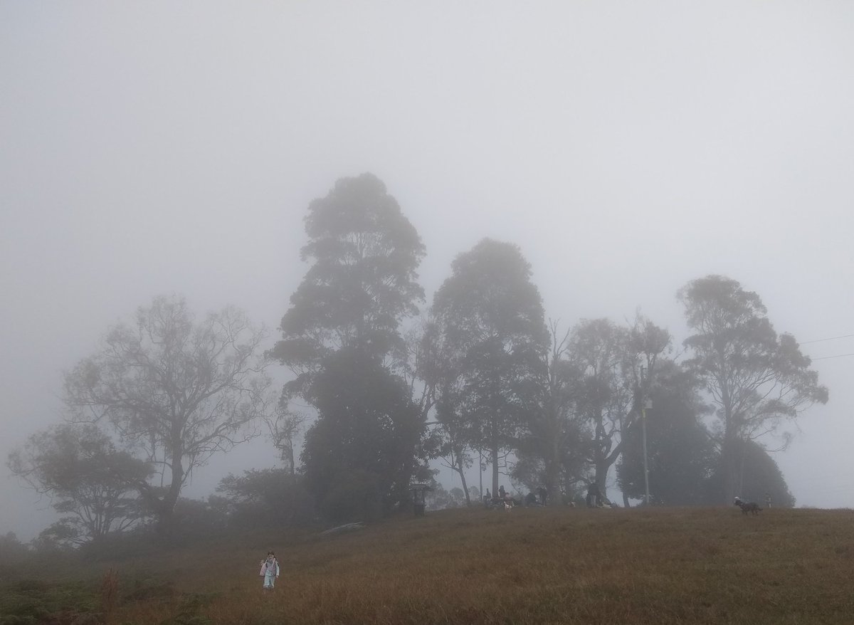 Linavelasqueze's tweet photo. El proyecto minero de la sudafricana @AGAColombia pone en peligro el DMI Nubes-Trocha-Capota, de Jericó, Tarso y Pueblorrico. @ANLA_Col @RodSuarezCa negar licencia ambiental es preservar el agua, la biodiversidad y la vida. #JericóSinMinería. @manuel_rodb https://t.co/n9RkJK0LpL