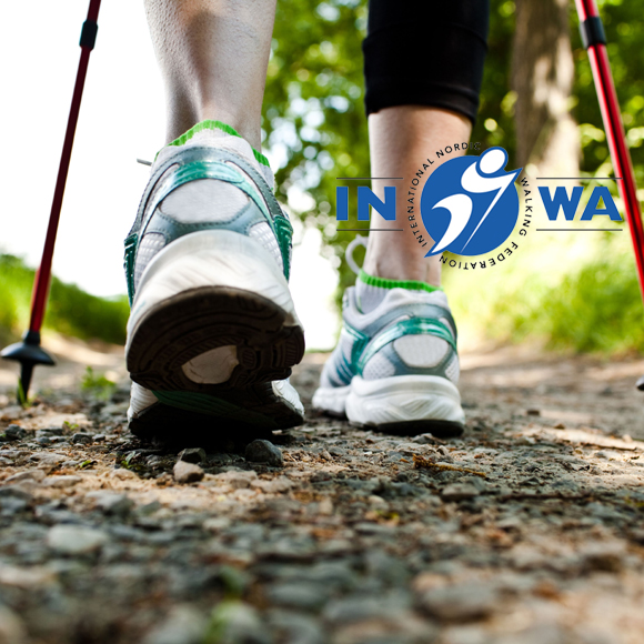 British Nordic Walking instructors use the INWA 10-Step method of teaching Nordic Walking. 10 steps seem a lot just to learn to walk with poles – are they really necessary? 
Find out why britishnordicwalking.org.uk/blogs/news/why…

#BritNW #NordicWalking