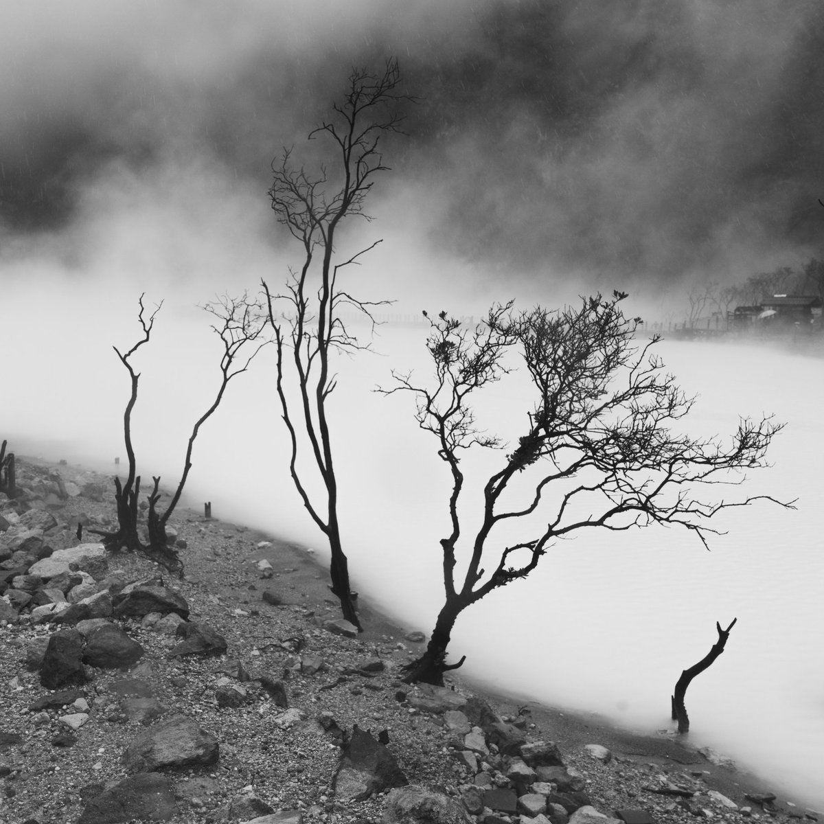 Daniel Tjongari tweet media