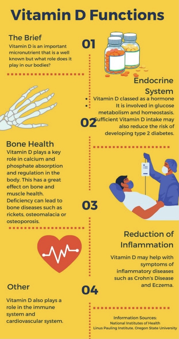 Image result for Why is Vitamin D Crucial for Health? infographics