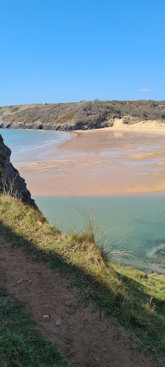 Ailsa_Wales's tweet photo. Beautiful morning down 3 Cliffs, sea is definitely warming up #3cliffs #gower #swimming https://t.co/9zrUvAPIpn