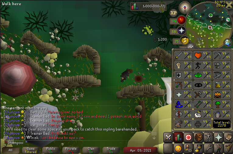 Shampoo_RS tweet media