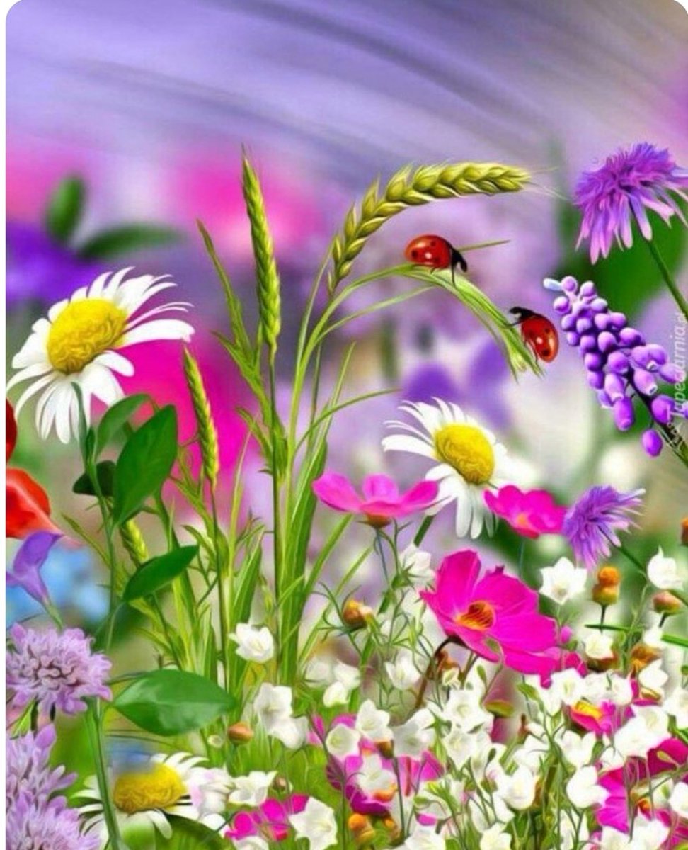 Naheed Tariq tweet media