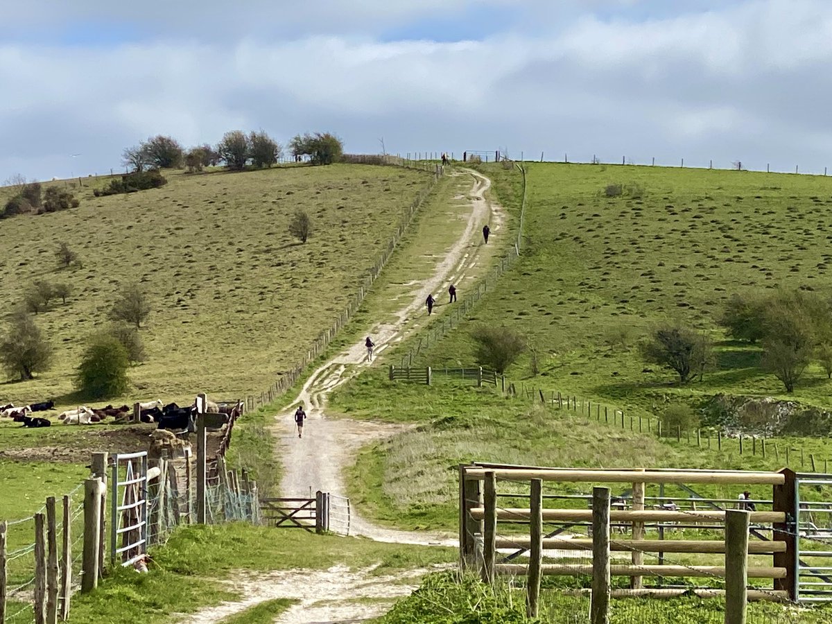 neneslab's tweet photo. 30 miles of big flint hills, smelly Pigs and putting one foot in front of another on the South Downs Way
#trailrunning
#ilovesussex
#trailandultra
#southdownsnationalpark
#southdownsrunning
#southdowns
#trailrunning
#gettingitdon
#trailrunninguk
#trailrunner https://t.co/T9PGffd90O