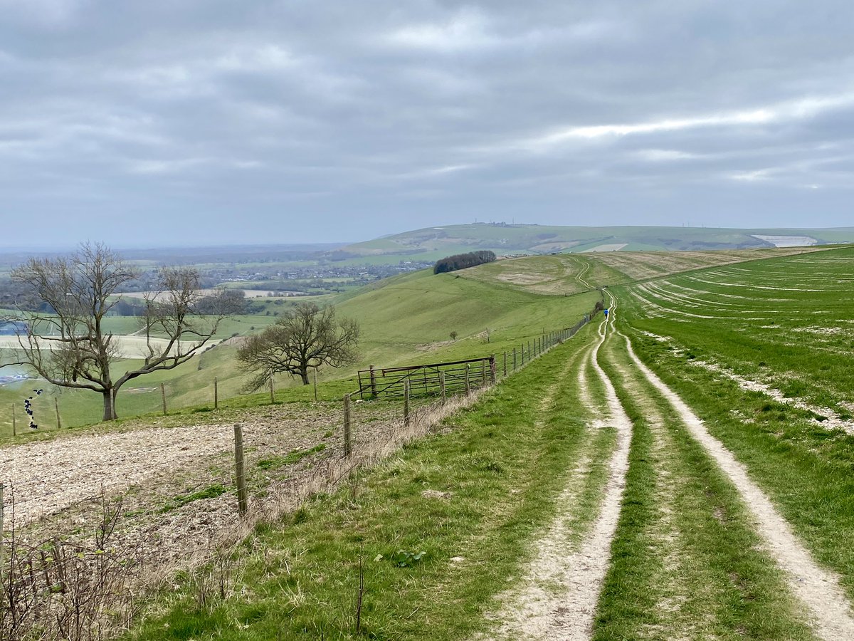 neneslab's tweet photo. 30 miles of big flint hills, smelly Pigs and putting one foot in front of another on the South Downs Way
#trailrunning
#ilovesussex
#trailandultra
#southdownsnationalpark
#southdownsrunning
#southdowns
#trailrunning
#gettingitdon
#trailrunninguk
#trailrunner https://t.co/T9PGffd90O