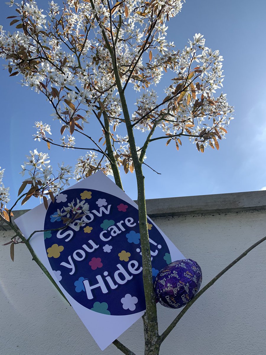 eims22's tweet photo. #showyoucarehideit Thanks @CadburyIreland we had so much fun hiding the eggs!! Thankfully none melted in the sun ☀️😂 https://t.co/Uk5aG4PtdQ