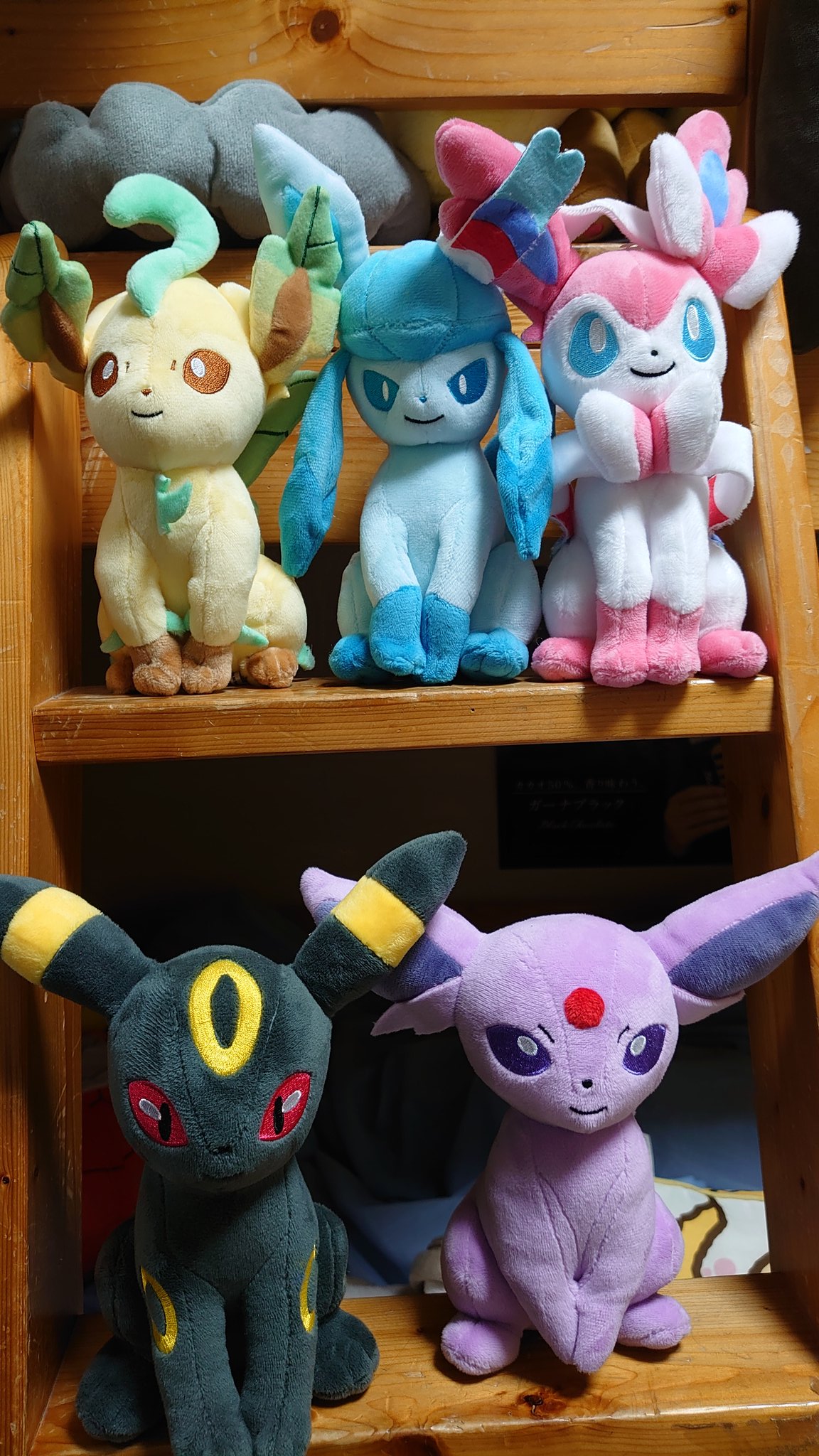 はじめん 今日買ったものです ポケカの色違いグレイシア ニンフィア ニンフィア グレイシア リーフィアのぬいぐるみです ブラッキーとエーフィは前から持ってたものです T Co Imunyuf40b Twitter