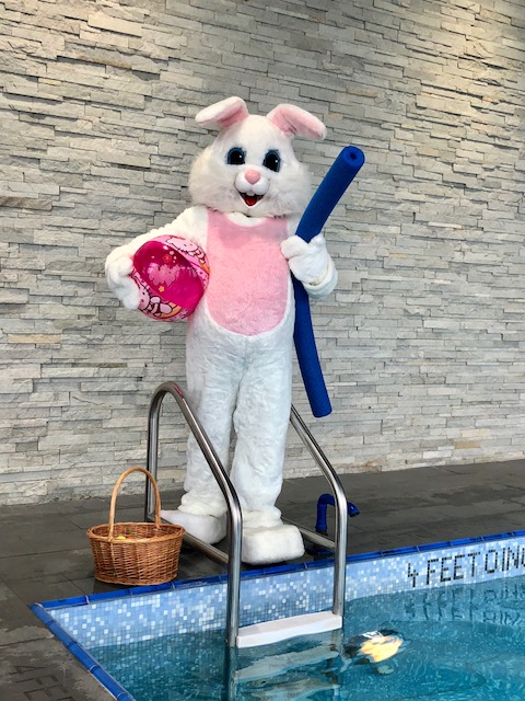 Springing into the weekend 🐰 We are open ✨ #LuxuryInTheSky #ImAFan #MandarinOrientalNewYork