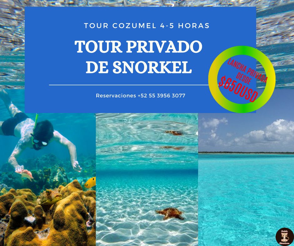 OceloteAdventur's tweet photo. Disfruta del maravilloso mar de cozumel en nuestro tour de snorkel en lancha privada, snorkelea en colombia, cielito y el cielo #oceloteadventures #dondenacelaaventura #sueñalo #visitalo #dreamit #visitit #allyouneedistravel #privatetours #cozumel #newplaces #newexperiences https://t.co/ekTZn0Vi73