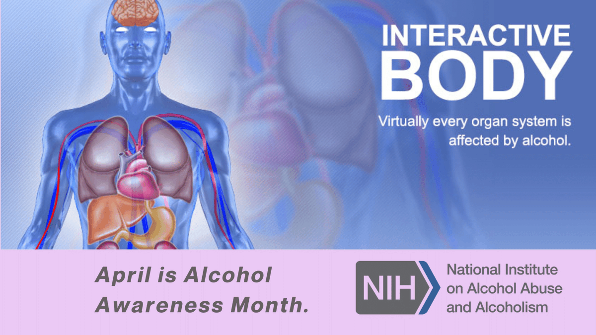 An #AlcoholAwarenessMonth fact: nearly every organ system of our body is affected by alcohol. But diseases caused by alcohol misuse can be prevented by reducing—or, even better—stopping drinking. Learn more collegedrinkingprevention.gov/SpecialFeature…