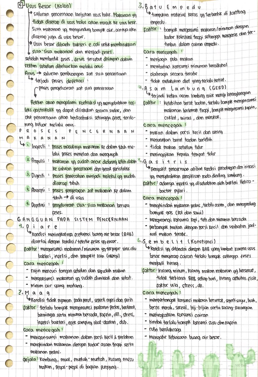 🌱  B i o l o g i  🌳

Sistem Pencernaan Manusia

Sumber : materi dr guru, materi78
#catatanambis