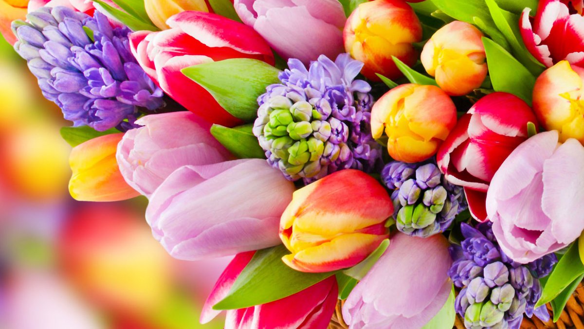 Buona Pasqua da Bellaria Igea Marina! 🐣🌸

Happy Easter! Frohe Ostern! Joyeuses Pâques! Felices Pascuas! 

#BellariaIgeaMarina #Pasqua2021