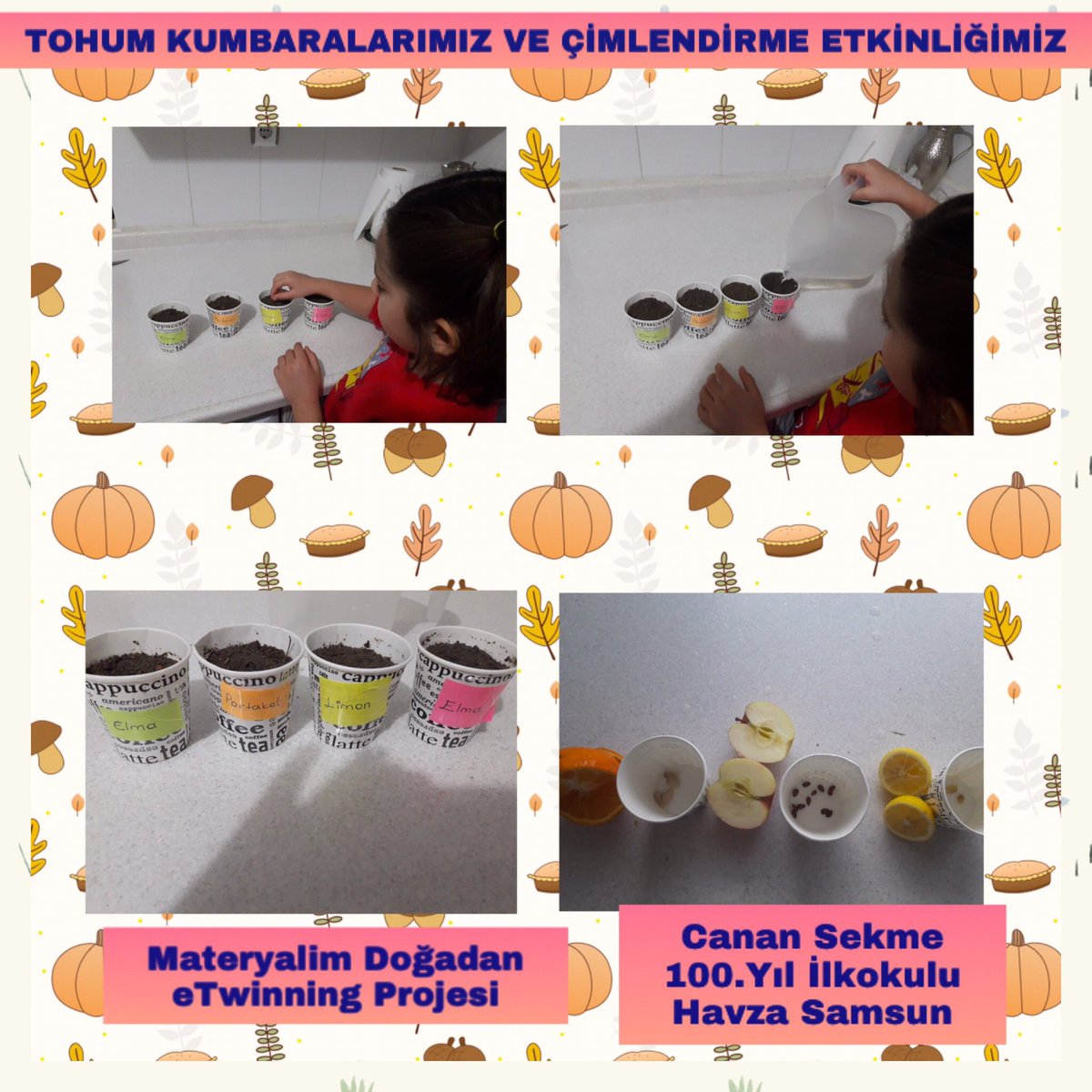 Çimlendirme etkinliğimizden kareler <a href="/tcmeb/">Millî Eğitim Bakanlığı</a> <a href="/samsunmem/">Samsun İl Milli Eğitim Müdürlüğü</a> <a href="/adnanboyaci/">Adnan BOYACI</a>  <a href="/havzailcemem/">Havza İlçe MEM</a> <a href="/MDogadan/">MATeryalim Doğadan</a>