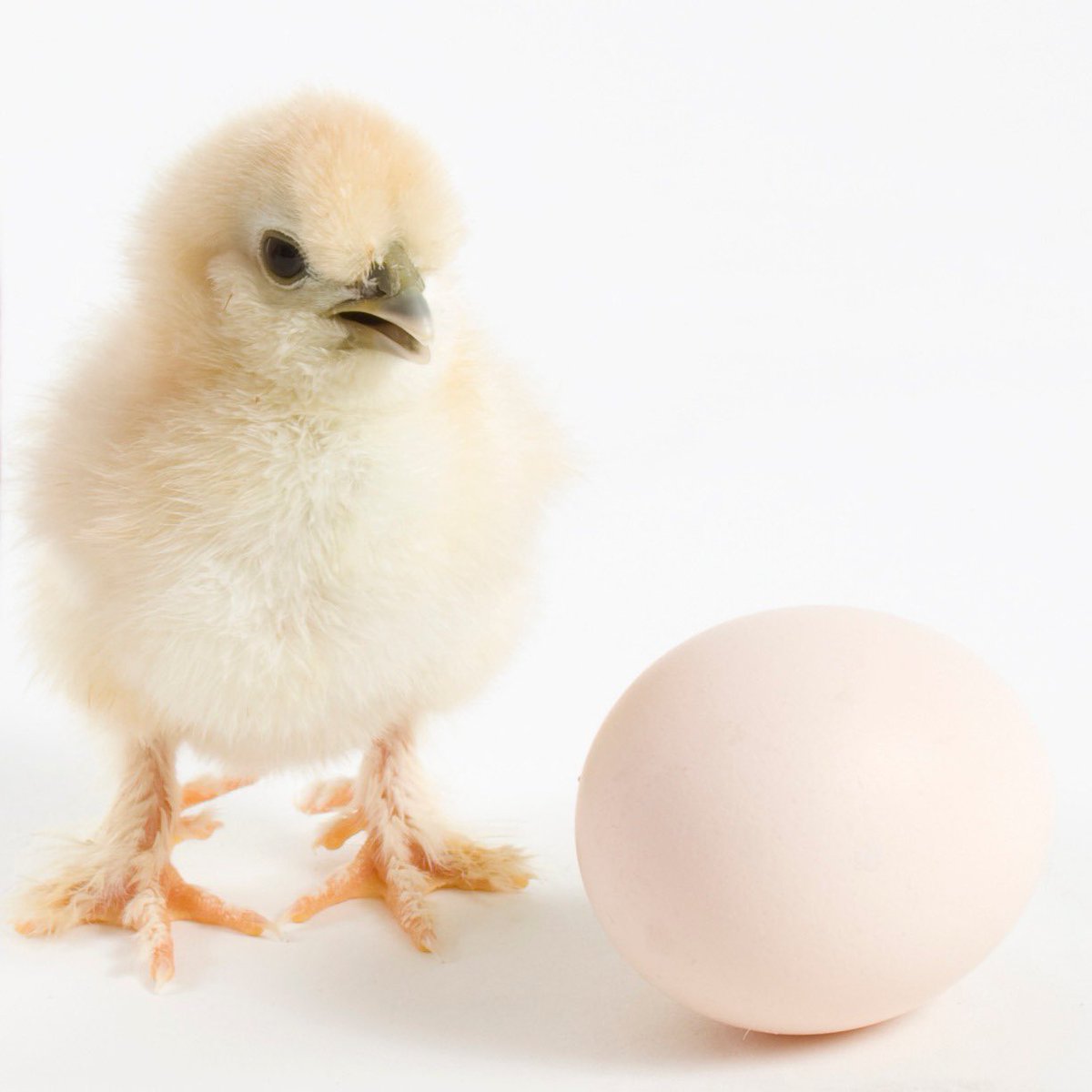 Fijne paasdagen 🐣#zorgfoto #zorg #zorgfotograaf #paasweekend #eieren