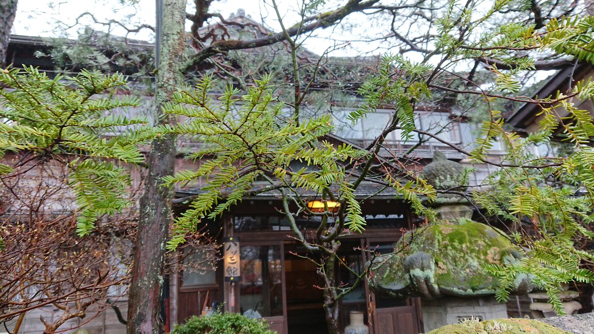 umihatooku1's tweet photo. 八ツ三館
飛騨古川の約160年の歴史ある料亭旅館 https://t.co/Tqse5WdTwh