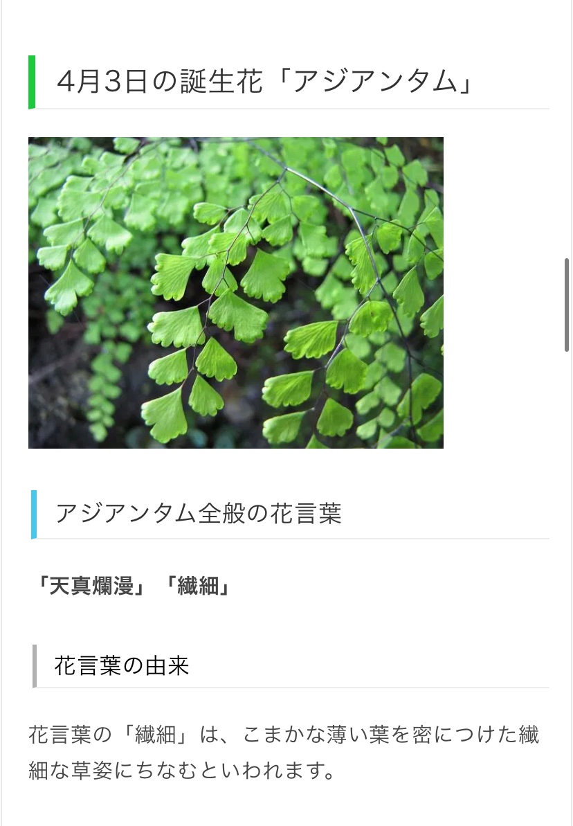 Sp Hi 三浦春馬 桜つなぎ 番外編 カウントダウンも込めて お花の紹介 4 3の誕生花は ゼラニウム アジアンタム エゾギク です