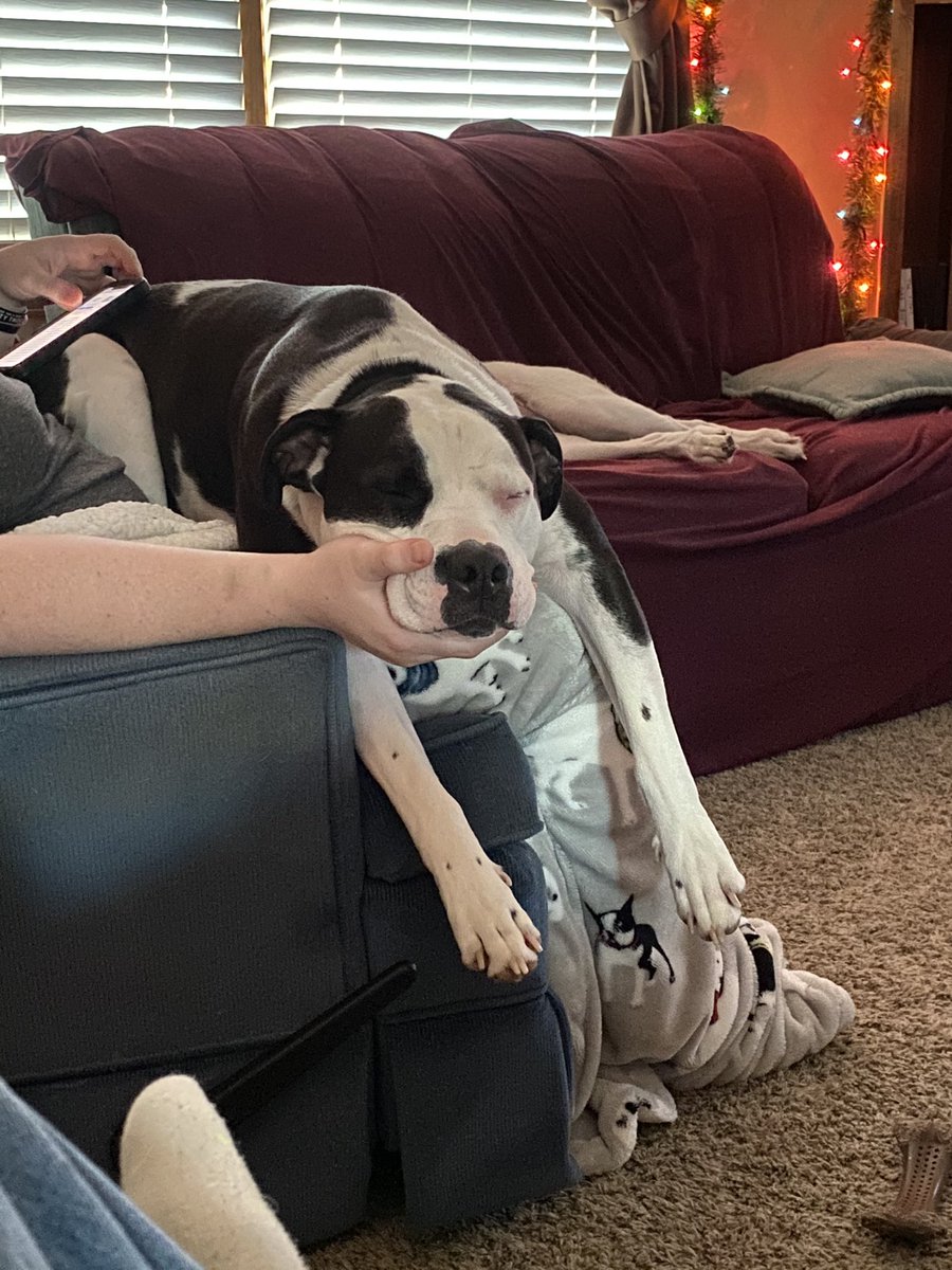 RichardCushing2's tweet photo. @xo_Sweet_Pea Just hold me while I rest 😂 https://t.co/ZcWqMkZw14