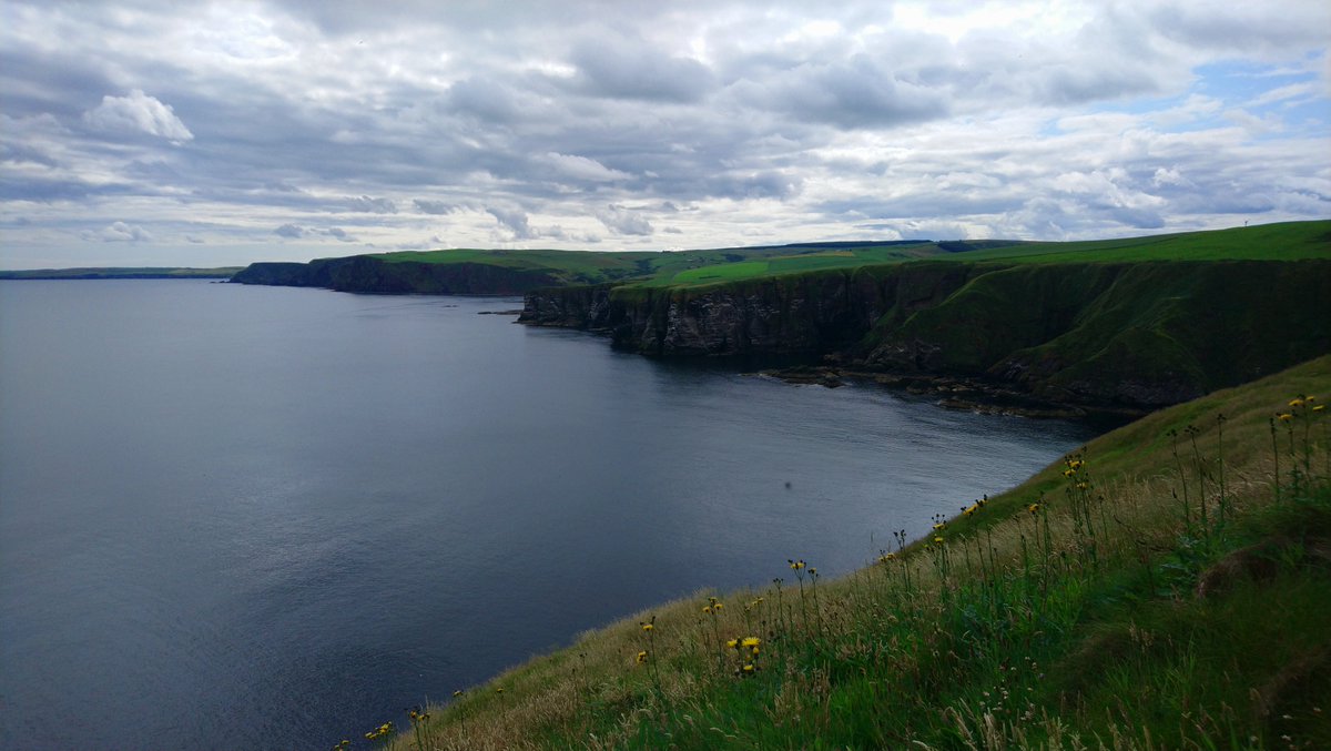 WorthingtonD's tweet photo. Alexander Garden of Troup's 1683 account of the Banffshire littoral of the Moray Firth, where fishers were also farmers, and seals, seabirds, the sand and the soil each imposed themselves on everyday life. #CoastalHistory #EarlyModern https://t.co/iEOfW75l9l https://t.co/V54pyCylvr