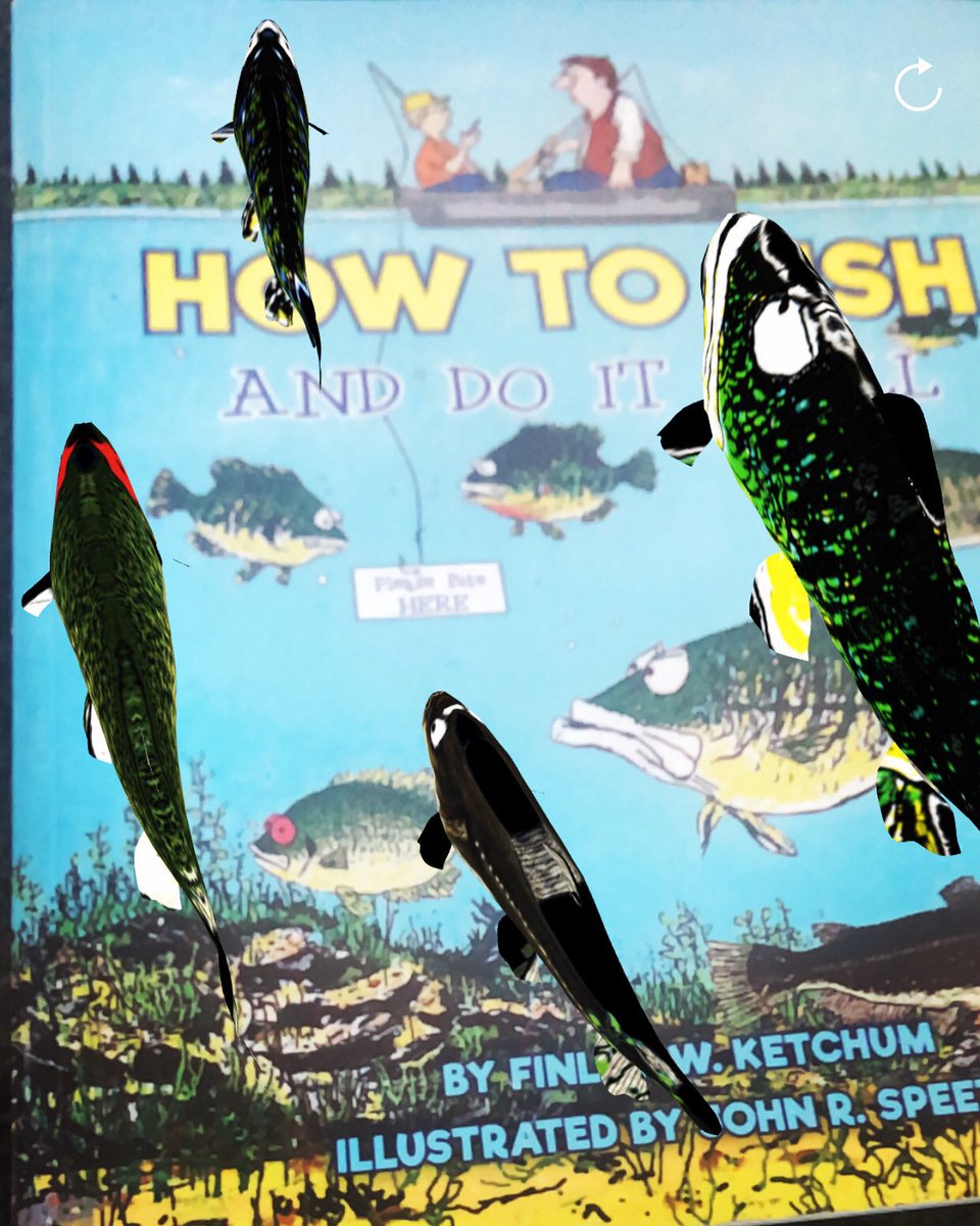 HowToFishAndDo1's tweet photo. #fish #fishing #summer #HowToFishAndDoItWell #AugmentedReality #AR #book https://t.co/2rmWegQGb3