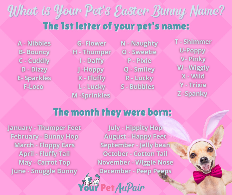 Your Pet Aupair Belairaupair Twitter
