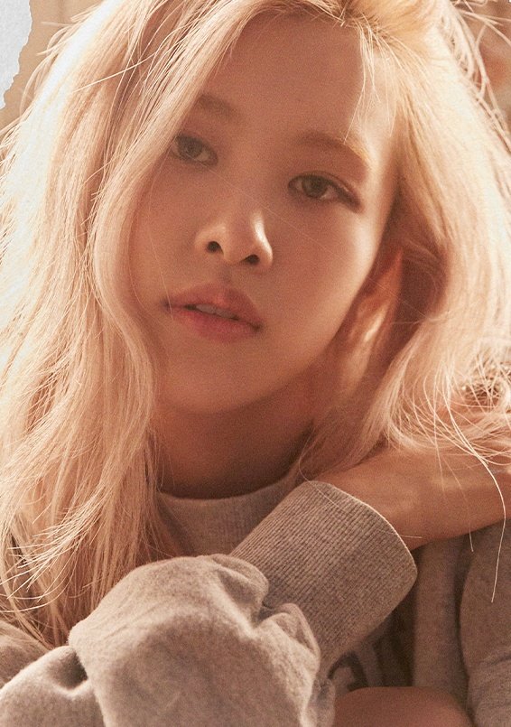 rosé pics tweet media