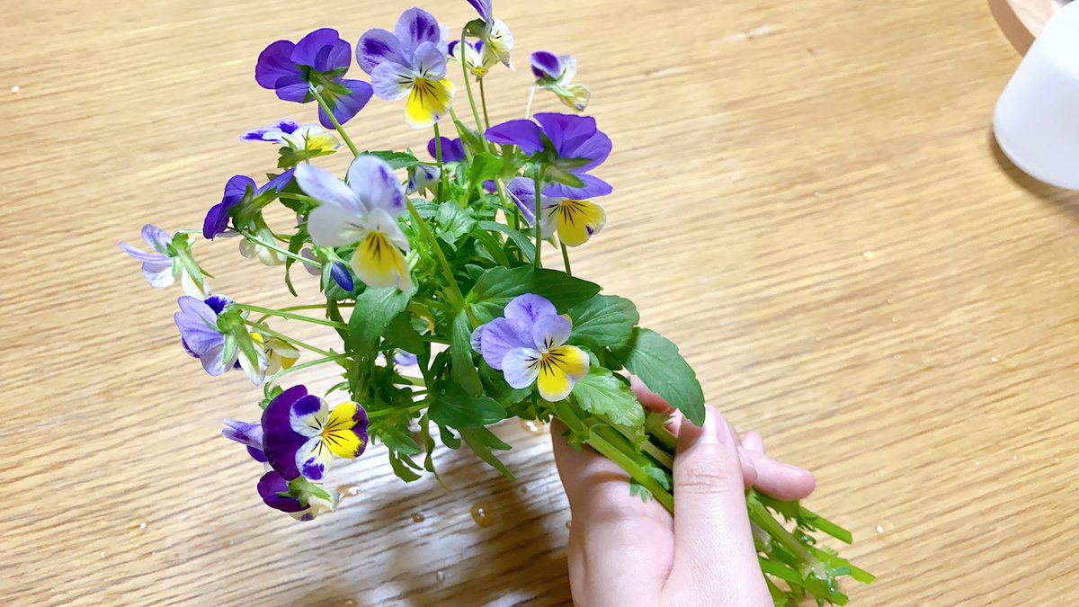 삼색제비꽃 팬지 이렇게 꽃다발도 만들 수 있을만큼 줄기가 길어졌어. 씨앗을 선물해준, 연보랏빛 아우라를 가지고 태어났다는 이에게 한아름안겨주고 싶구나. 항상 너를 생각할게.