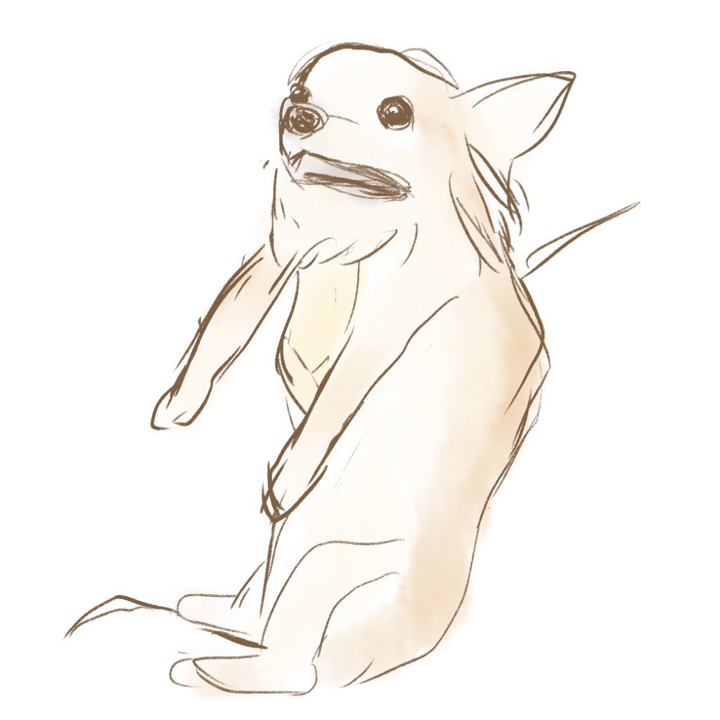 チワワイラスト チワワイラスト