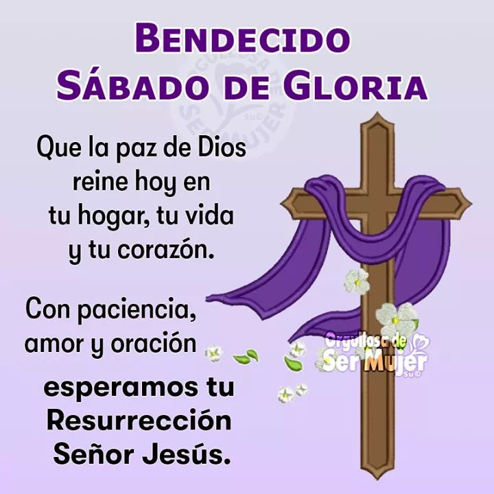 Amigos y seguidores