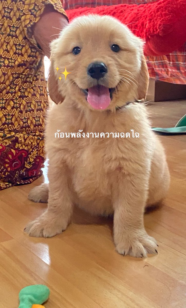 ดูหนังนอนดึกตื่นสาย tweet media