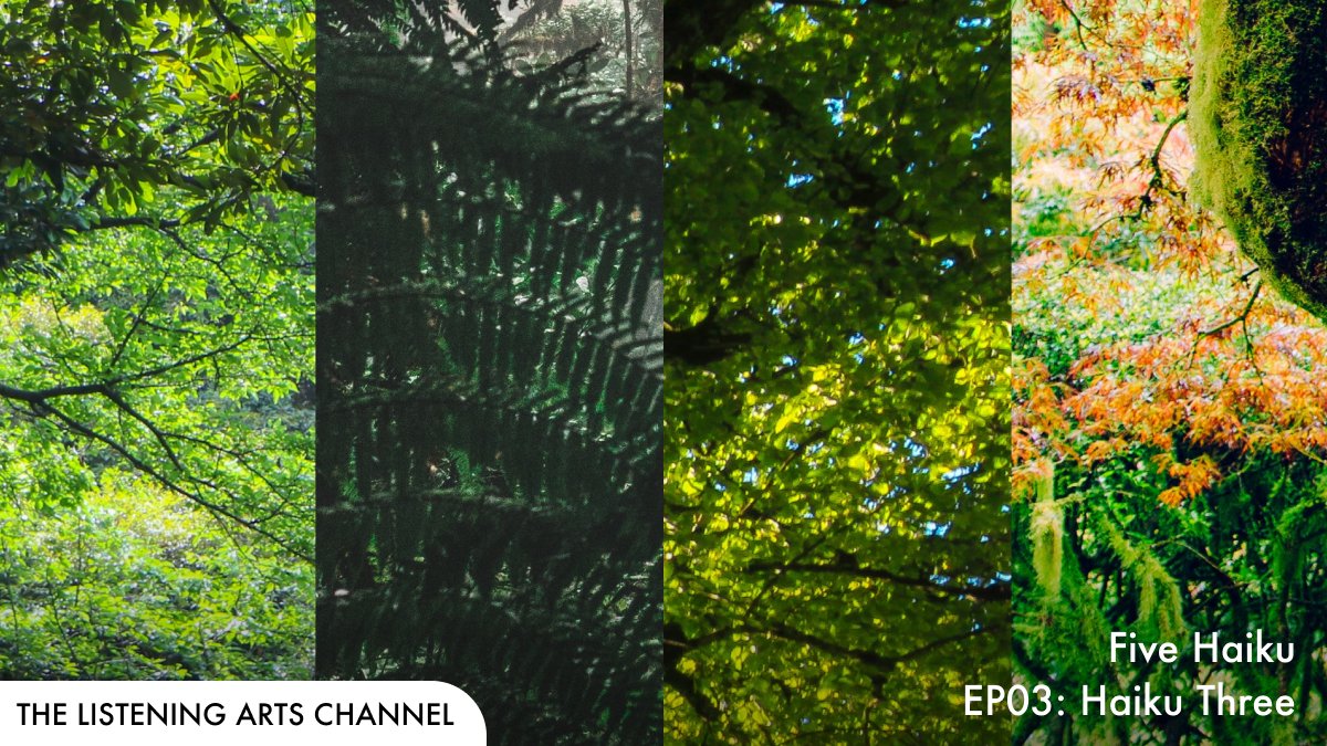 We're All Bats tweet media