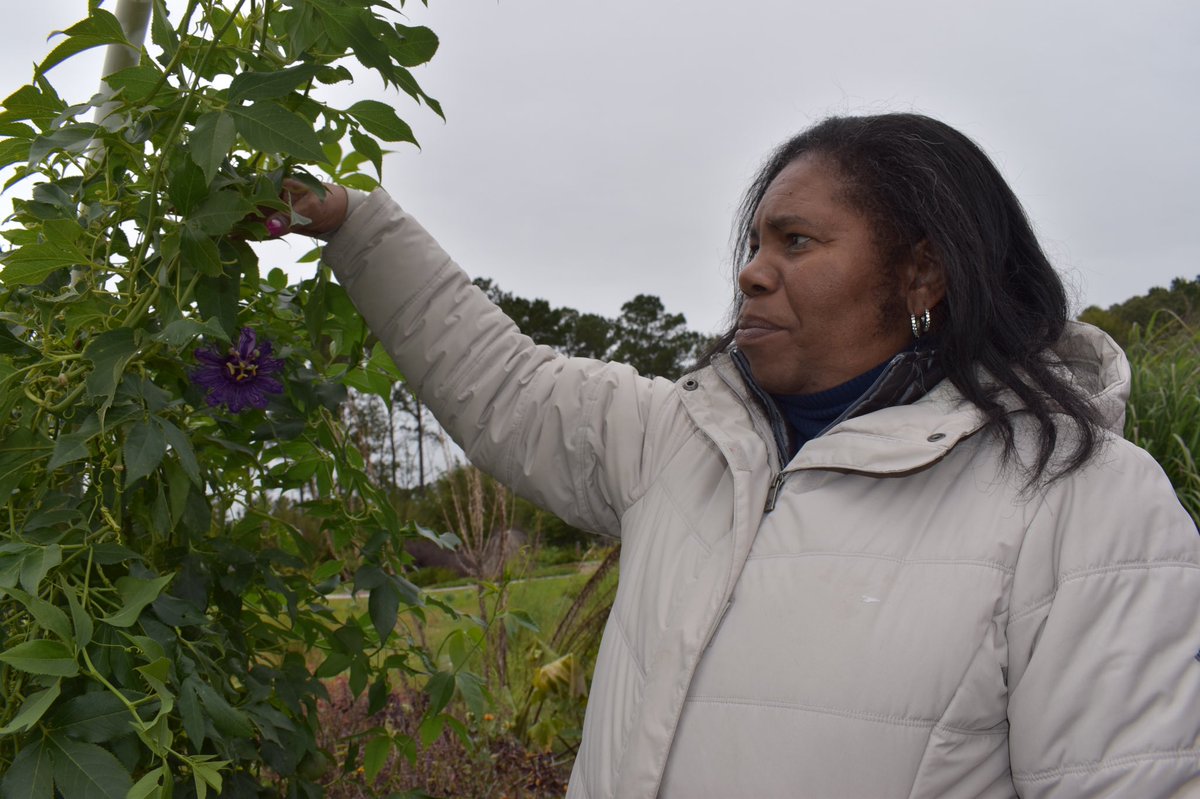 A note from Madam President Cathy Walker "This is a time for rejuvenation. Keep moving forward on this journey of life. Do a kind act for someone in the community. Remember there is always a friend in the garden. " #easter #reguvinate #tendingtocommunity #gardening