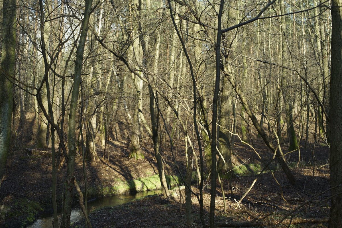 Riverbank, from new series “Water”. Poland, Spring 2021. More photographs: aboutlandscapes.com #landscape #photography #river #riverbank #spring