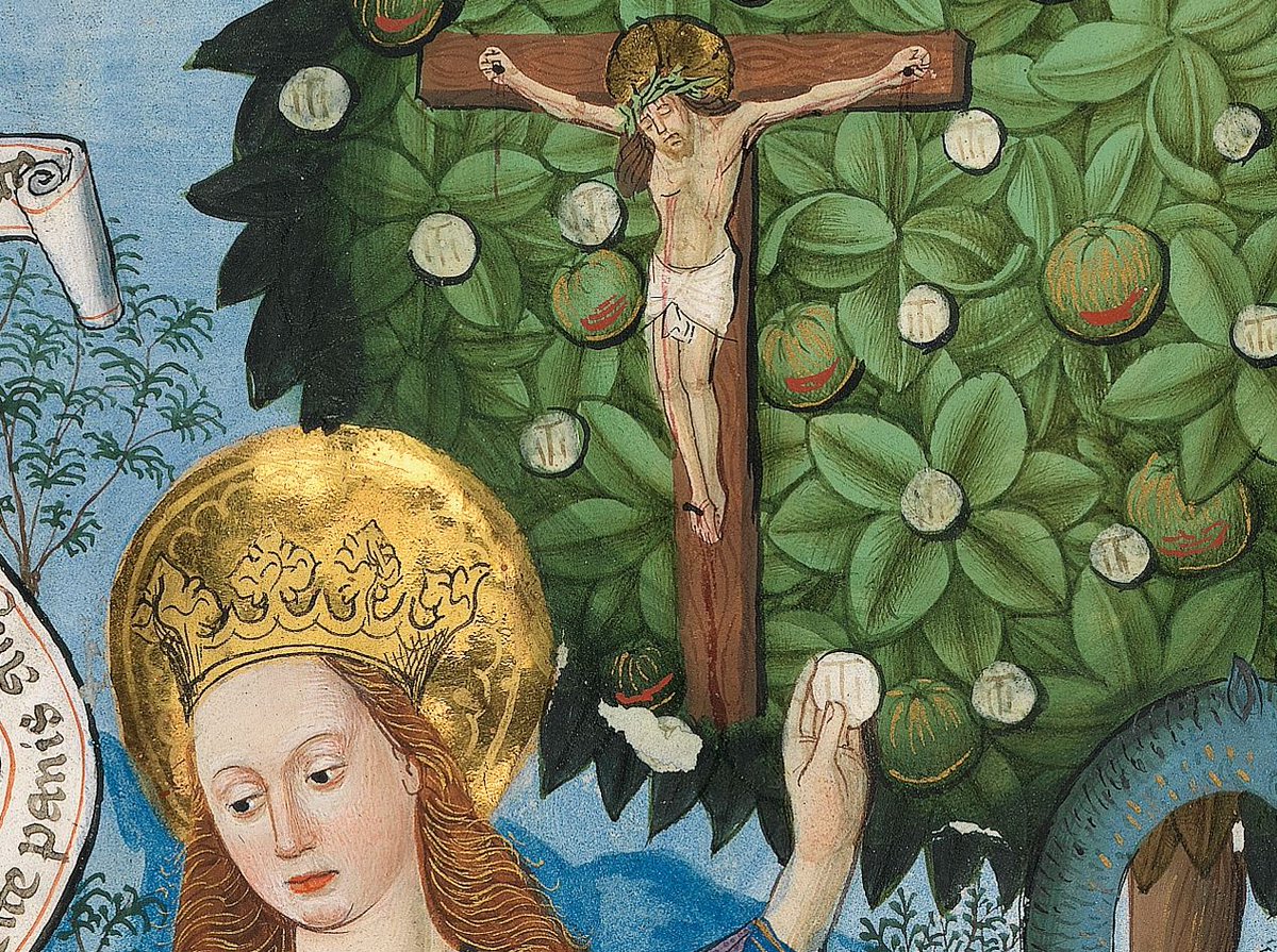  #minima140 El misal de Salzburgo del s.XV ofrece una imagen absolutamente extraordinaria: el árbol del conocimiento convertido (tras la crucifixión de Cristo) en árbol de la salvación del alma.