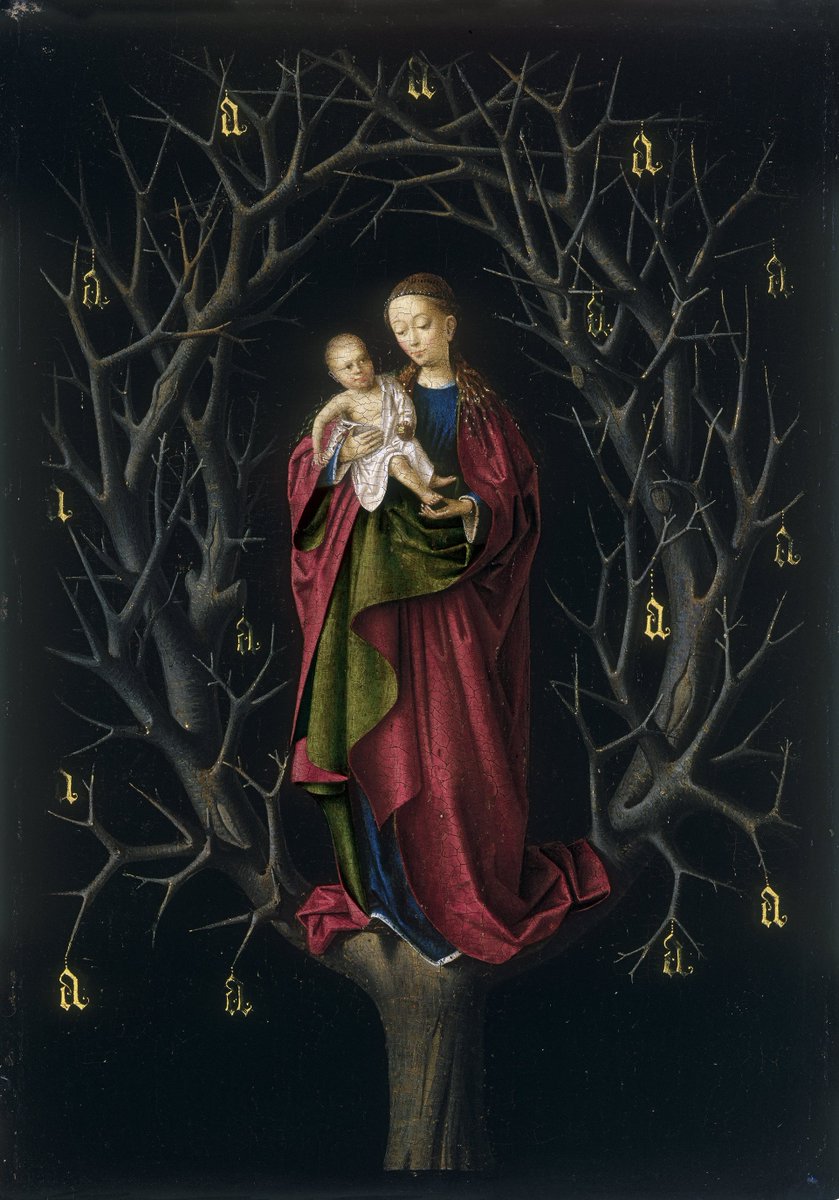  #miniMA140 La idea de que el árbol del conocimiento (seco tras el Pecado Original) volvería a dar fruto con la redención de Cristo se anuncia en esta “Virgen del árbol seco” de Petrus Christus de 1465.