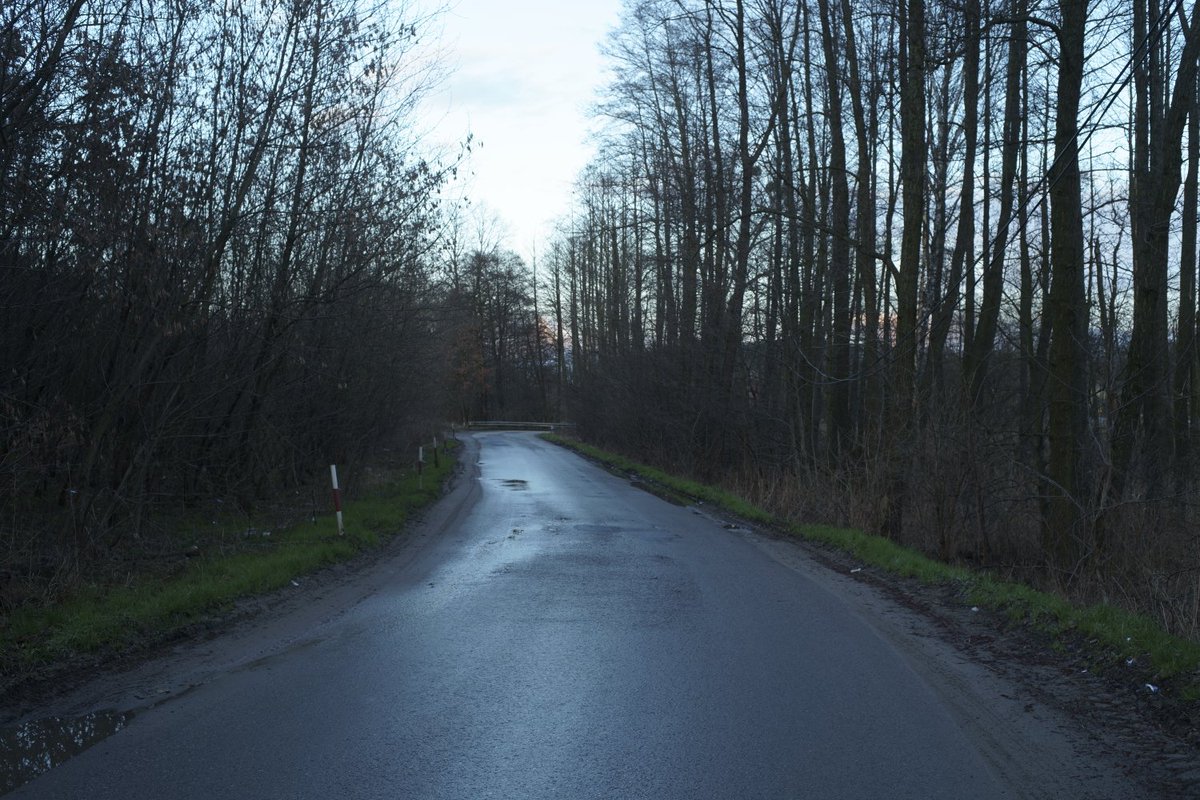 Road As A Road. Poland, Spring 2021. More photographs: aboutlandscapes.com #road #roadscape #landscape #landscapes #topography #village #countryside #photography