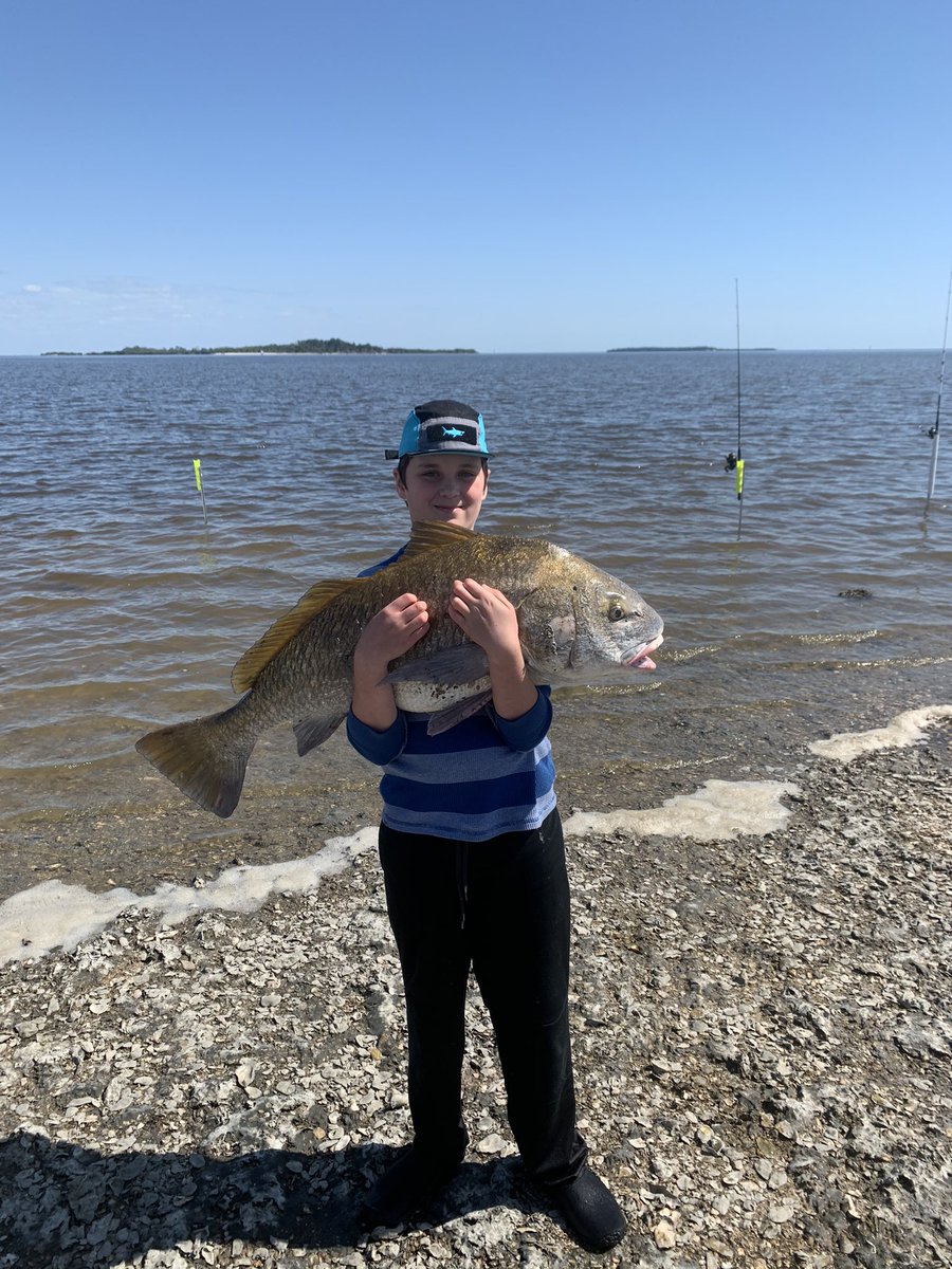 Todd M. Brusko tweet media