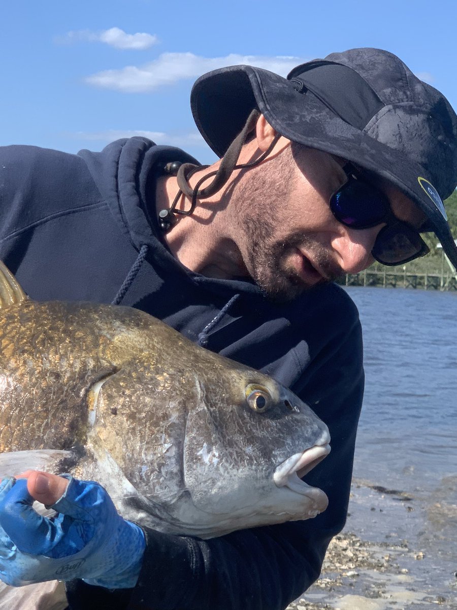 Todd M. Brusko tweet media