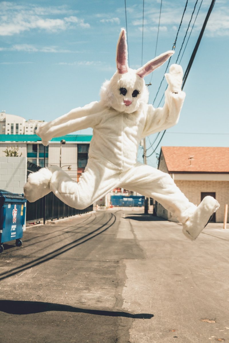 The Easter Bunny is ON THE WAY! 🐰💐⛸️ We have a few treats to pass out and plenty of skates for the mandated-approved amount of skaters 😋 Grab your mask, utilize the hand sanitizing stations, and enjoy the ice ❄️⛸️

📸 Photo by NeONBRAND on Unsplash