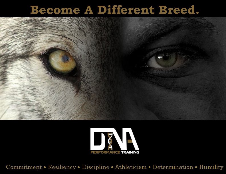 DNAPerform's tweet photo. You’re in charge of your own success. Stop waiting to become more than you are!!!! Become a Different Breed. Are you an athlete looking to better yourself? Send us a message and we help you reach your goals!!!

#differentnotaverage
#differentbreed https://t.co/uj9nP0Lu1w