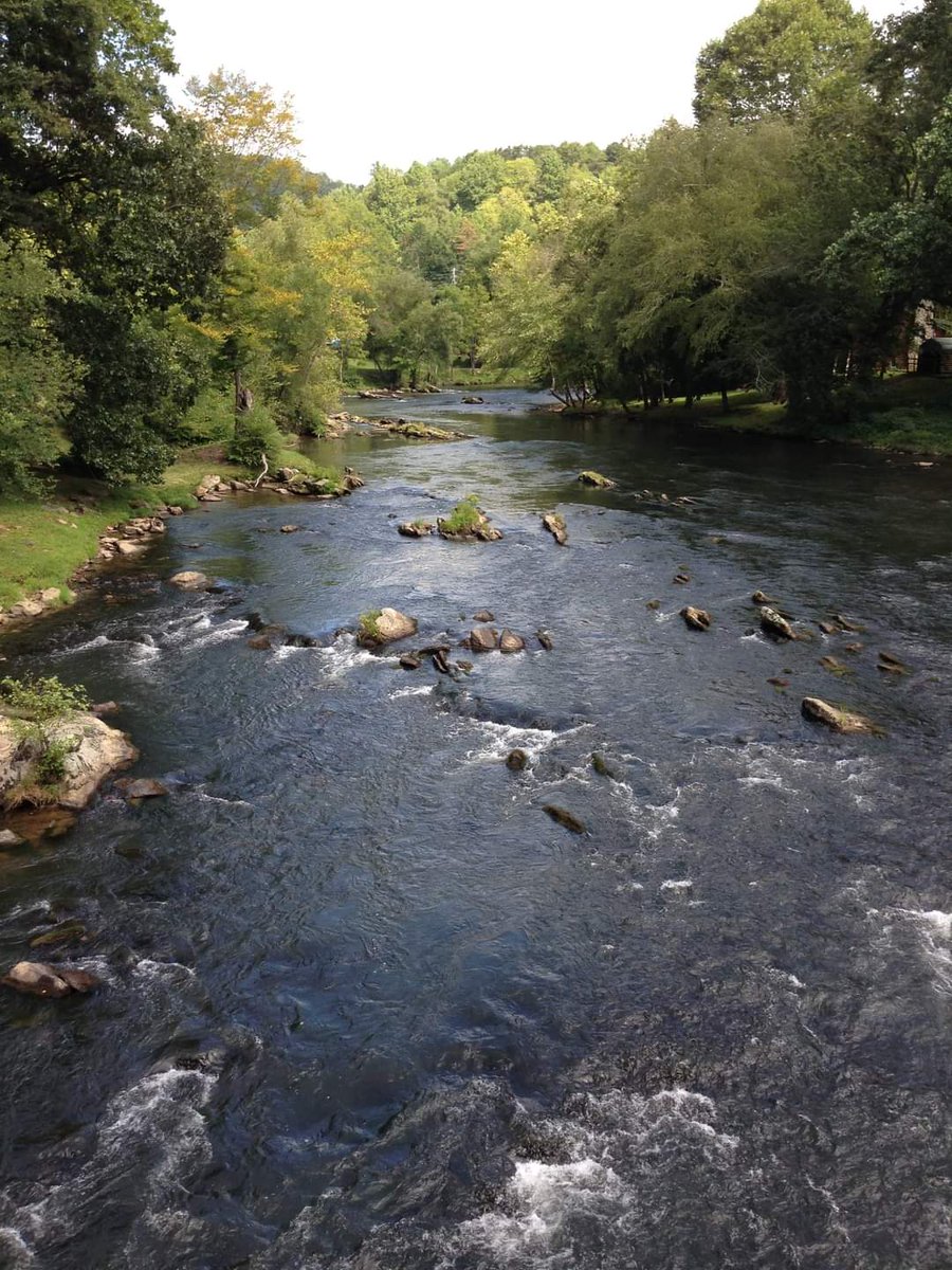 There is an abundance of opportunity for the person who will go with the tide, instead of trying to swim against it.#womanariseandthrive #2021ariseandshine #grateful  #faiththings