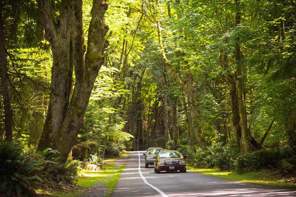 parkstacoma's tweet photo. โ ๏ธFive Mile Drive Updateโ ๏ธ
The full closure of #FiveMileDrive planned for Monday, April 5 has been delayed. We will post an updated closure date as soon as it's known. The detour currently in place at #PointDefiancePark will continue until April 9.
https://t.co/ezYvIFseyy https://t.co/soKzYBI1Mr