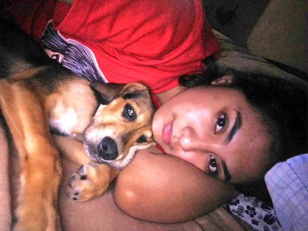 mryrsbco_'s tweet photo. “No longer by my side but forever in my heart.” 💛

You can now finally run free our little warrior. We'll always miss you every single day and will forever stay in our hearts. ♥️ I wuv you my baby Achilles. 

#RunFree #mylittlehero #littleprotector https://t.co/cLwoQqMISa